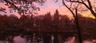 view the lake sunset