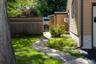 Side Yard