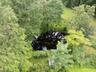 aerial view of the pond