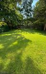 Rear yard