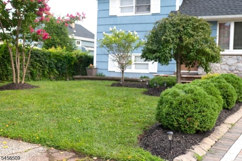 Yard Front