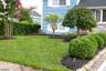 Yard Front