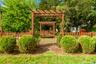 Side Yard