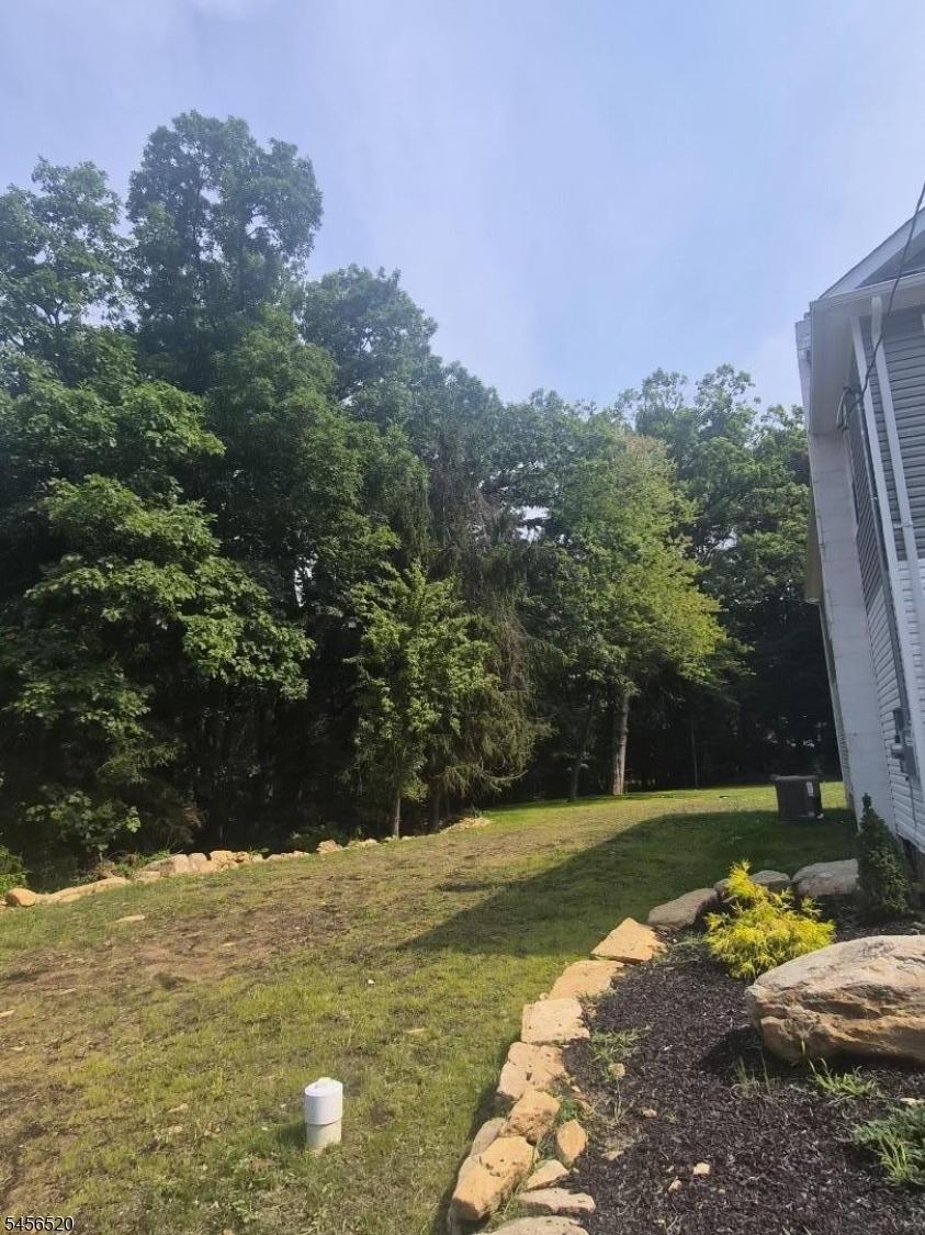 Side yard