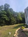 Side yard