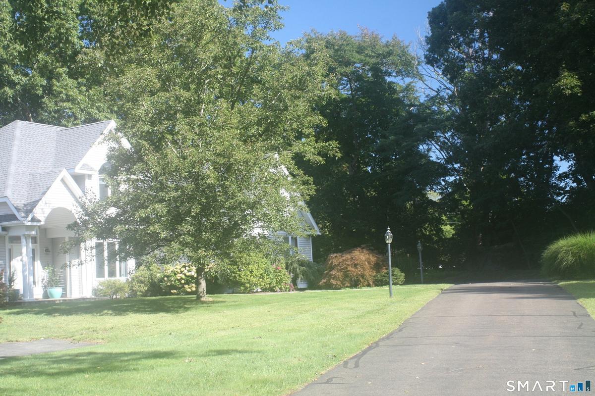 Front Yard