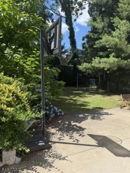 Back yard 1