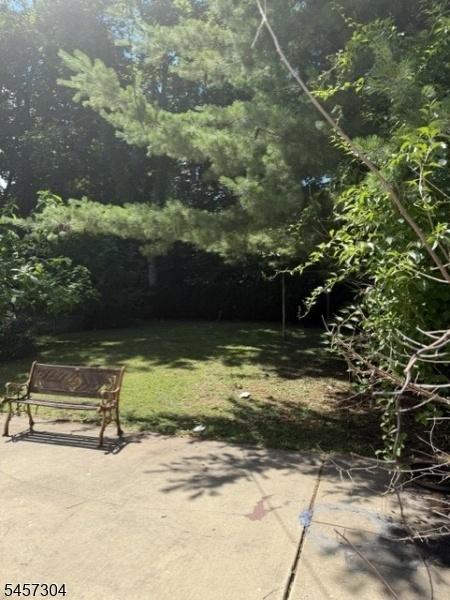 Rear Yard 2