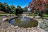 Pond
