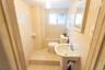 Basement Bathroom