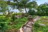 Path to Lake
