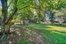 Back yard view 2