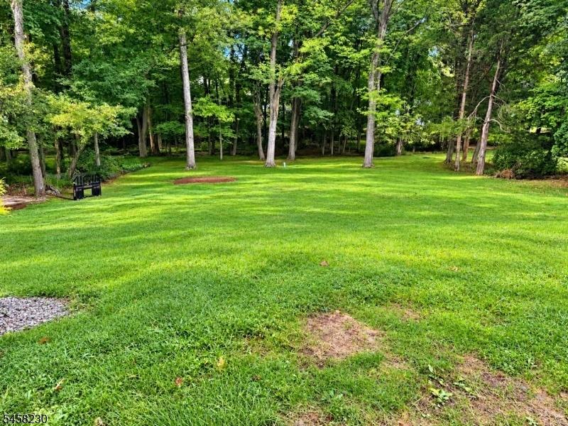 Rear Yard