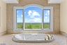 Primary Tub with a View