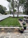 AI Backyard