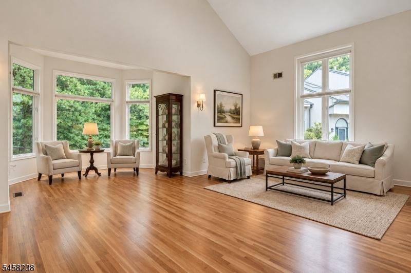 Living Room and Alcove