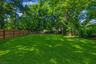 backyard enhanced grass