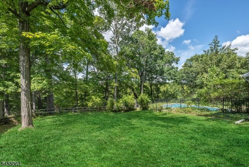 Side Yard