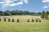 Mosle Park Preserve