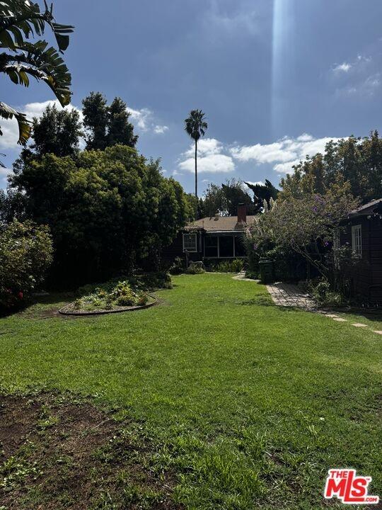 Backyard, photos coming soon