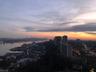 NYC View
