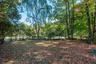 Large Rear yard