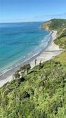 Coastal acreage featuring mature trees, native vegetation, and direct ocean frontage