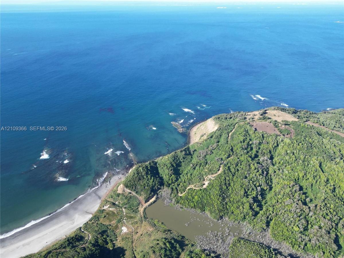 Aerial perspective of coastal landscape featuring direct ocean frontage, expansive stretches of sandy beach, rugged cliffside topography, and dense na