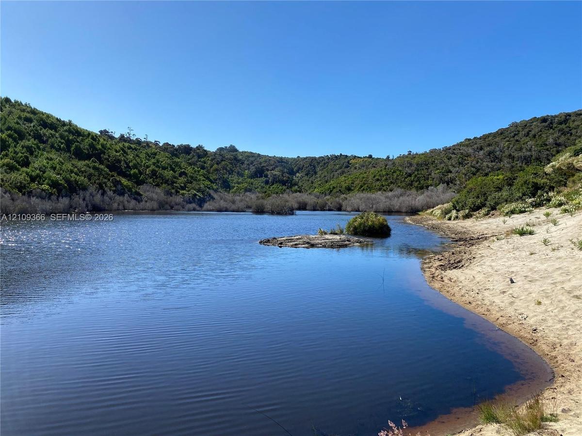 Natural lake featuring a sandy shoreline and surrounding hilly terrain with dense native vegetation