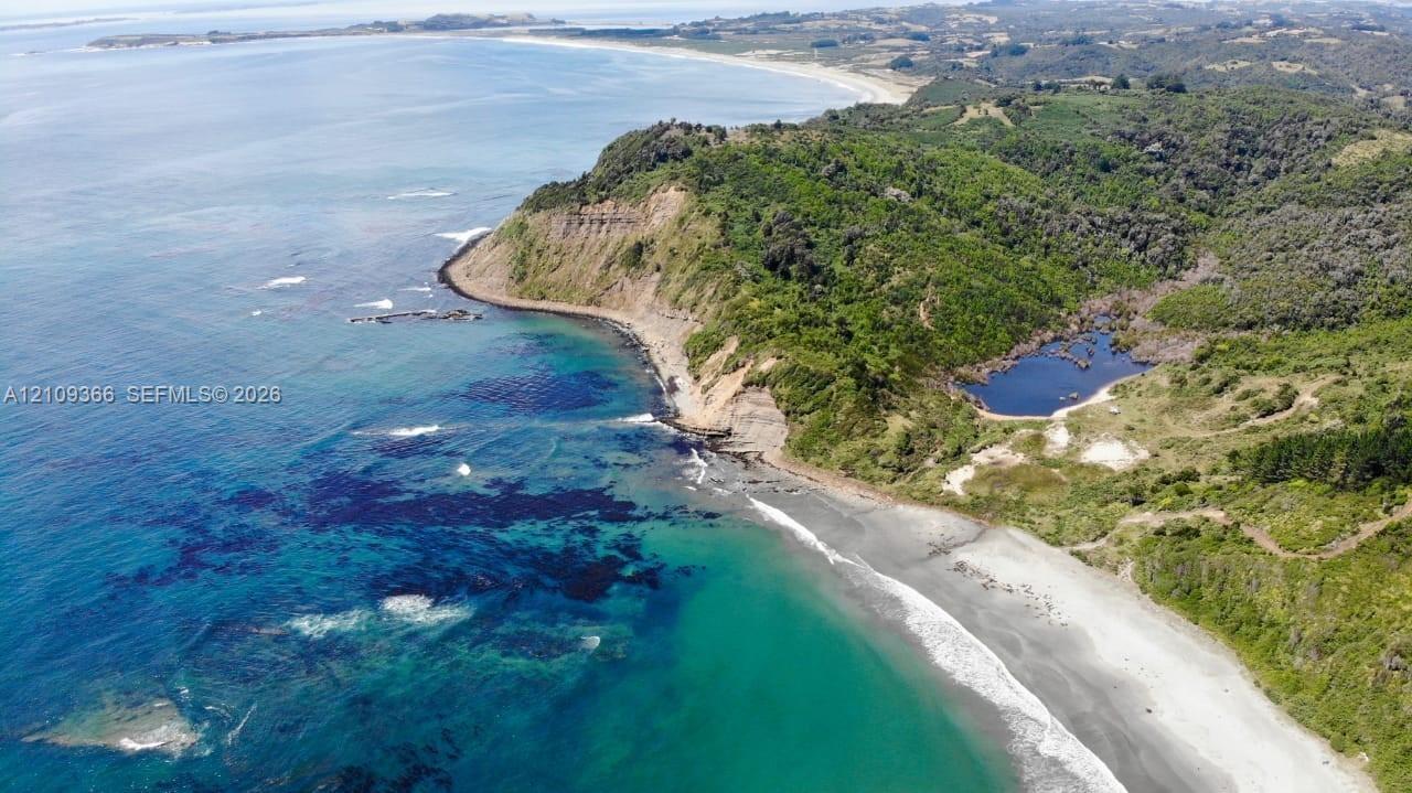 Aerial perspective of coastal landscape featuring sandy shoreline, rocky cliffs, dense forest canopy, and a natural inland pond