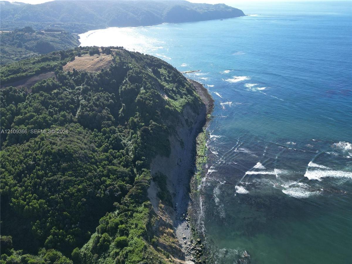 Coastal property featuring expansive ocean frontage, rugged cliffside terrain, and dense mature timberland