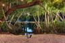 Waterfront grounds featuring a private wood dock, pebble-surfaced shoreline, mature coastal trees, and exterior string lighting