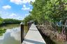 Private dock with composite decking, capped mooring pilings, and dense mangrove canopy