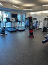 Fitness center featuring durable speckled rubber flooring, suspended linear lighting, and large windows with direct exterior access