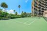 Tennis court featuring a hard surface, perimeter chain-link fencing, and mature palm trees
