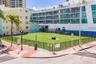 Cleared corner lot enclosed by black metal fencing, featuring level terrain and an established palm tree