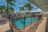 In-ground swimming pool with a brick surround, paver patio, stone perimeter wall, and mature palm trees