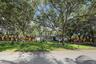 Single-story residence featuring a paved driveway, mature shade trees, expansive front lawn, and wood-paneled privacy fencing