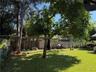 Expansive backyard featuring a lush grass lawn, mature trees, and a tall wood privacy fence