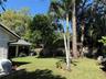 Expansive backyard featuring a level lawn, mature palm and pine trees, and perimeter wood fencing