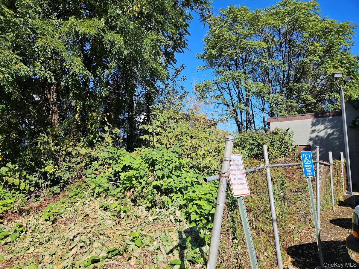 Rear portion of lot