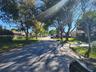 Residential street featuring mature shade trees, paved roadway, and manicured green space