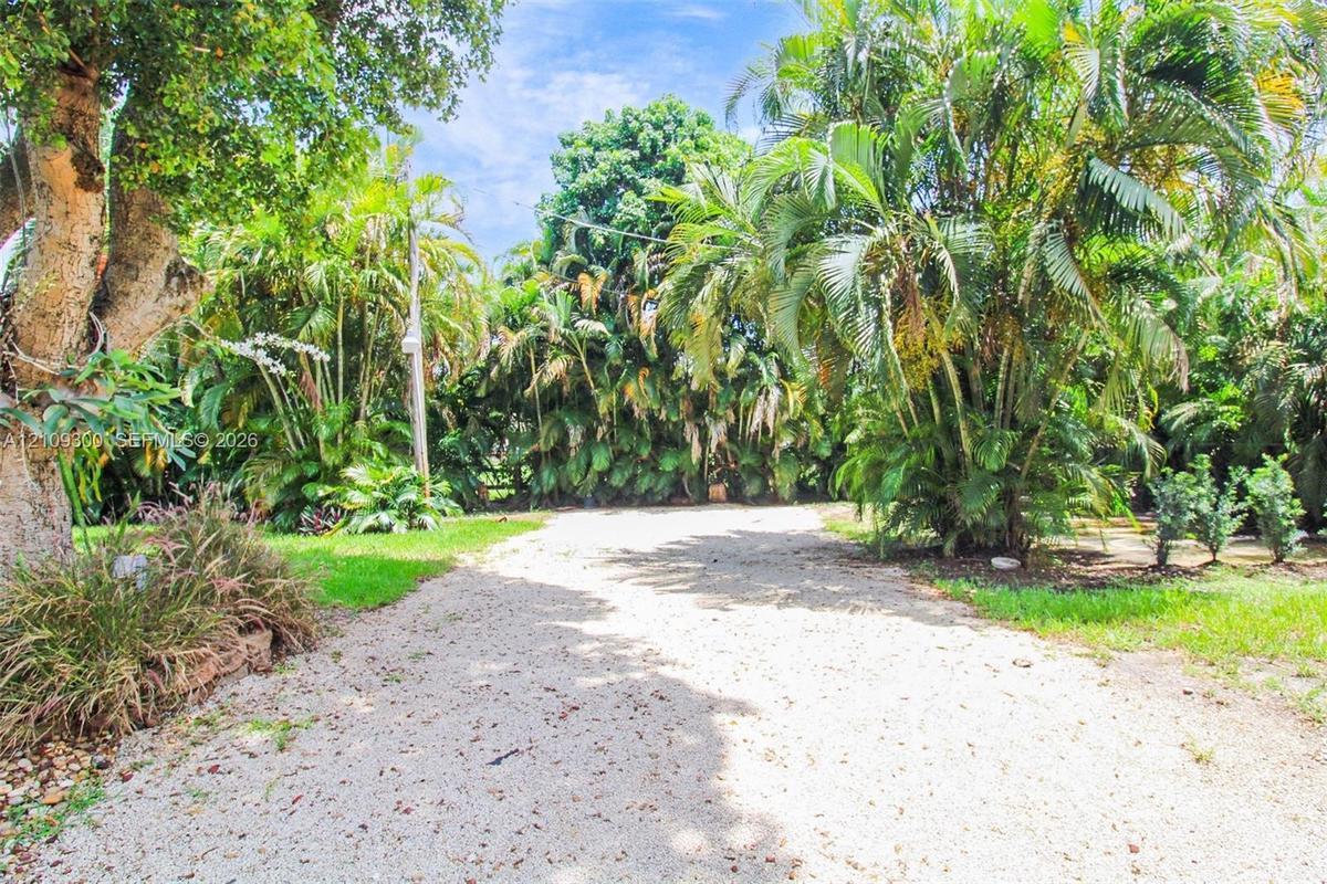 Gravel driveway bordered by lush tropical landscaping, mature trees, and manicured turf