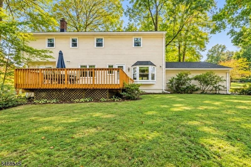 Back Yard/Deck