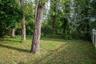 wooded lot