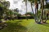 Expansive backyard featuring a lush lawn, mature palm trees, rock landscaping, and a water feature