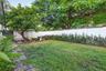 Private backyard featuring a manicured lawn, stone paver pathway, mature trees, and a solid perimeter wall with hedge landscaping