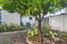 Rear exterior space featuring a mature shade tree with a brick border, concrete paver pathway, and perimeter privacy fencing