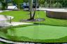 Backyard putting green with synthetic turf, stone-finish hardscaping, mature palm trees, and ground-level concrete edging