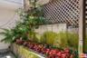 Lower garden